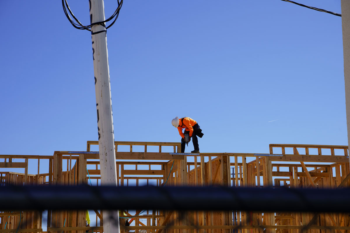 Construction of flamingo pines community.