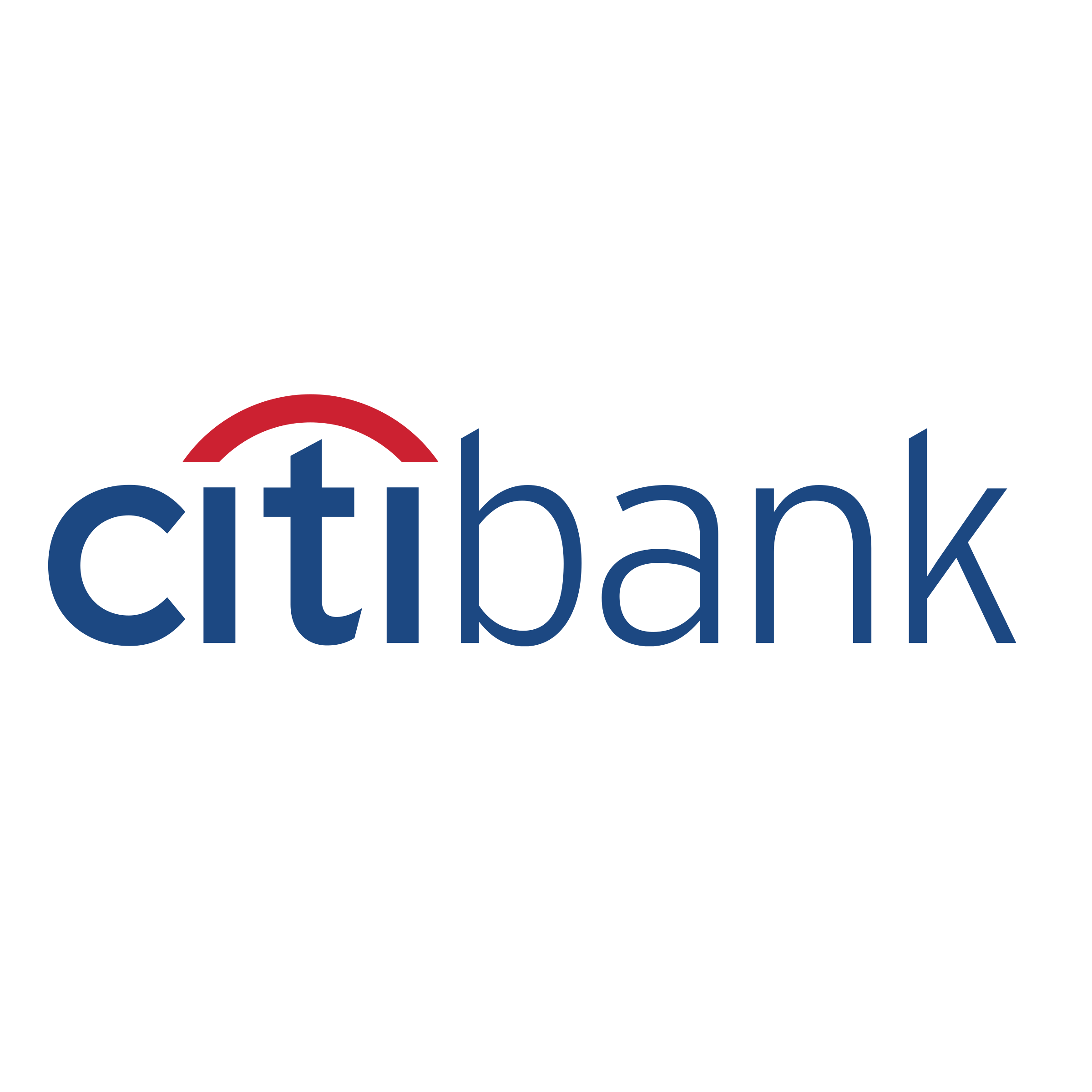 Citi Bank logo