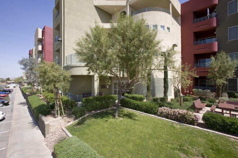 Pacific Pines scaled 1 768x512