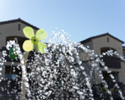 community splash pad with large flowers spraying water