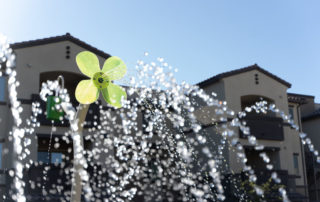 community splash pad with large flowers spraying water